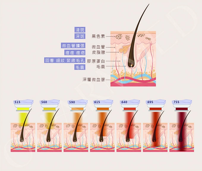 誠美學M22彩衝光原理